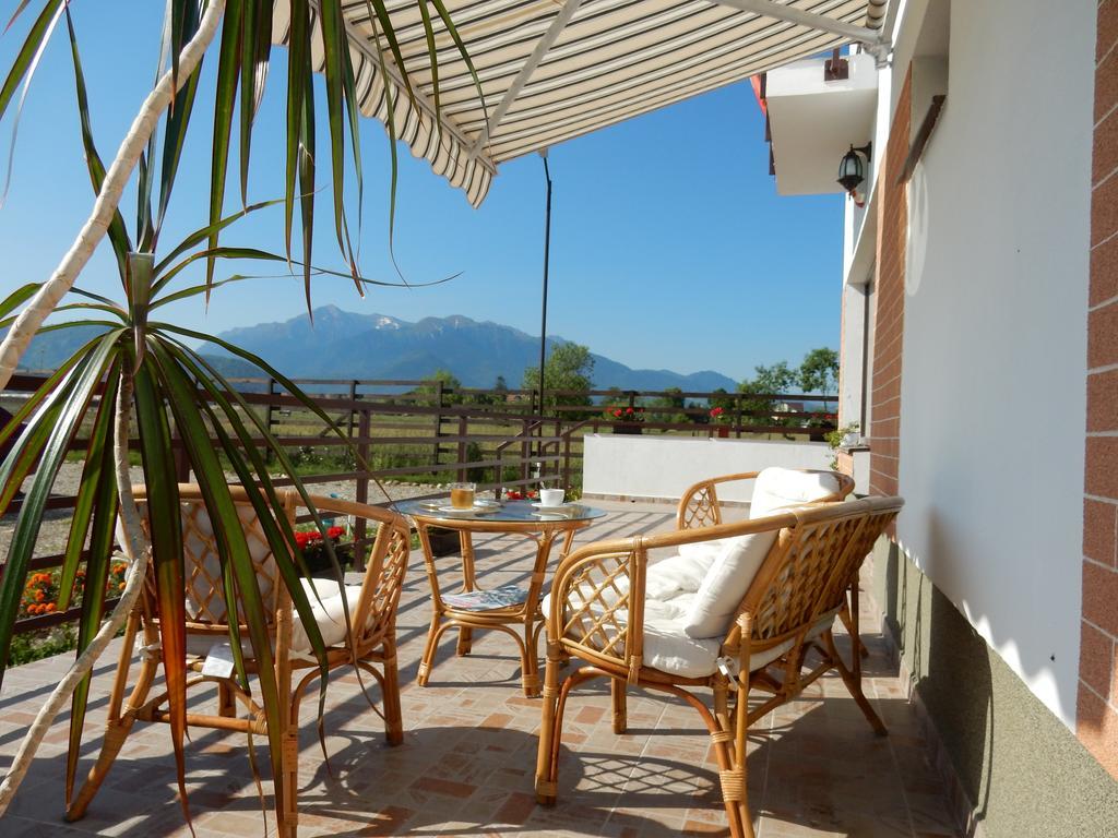 Maison d'hôtes Pensiunea Cetatea Craiului