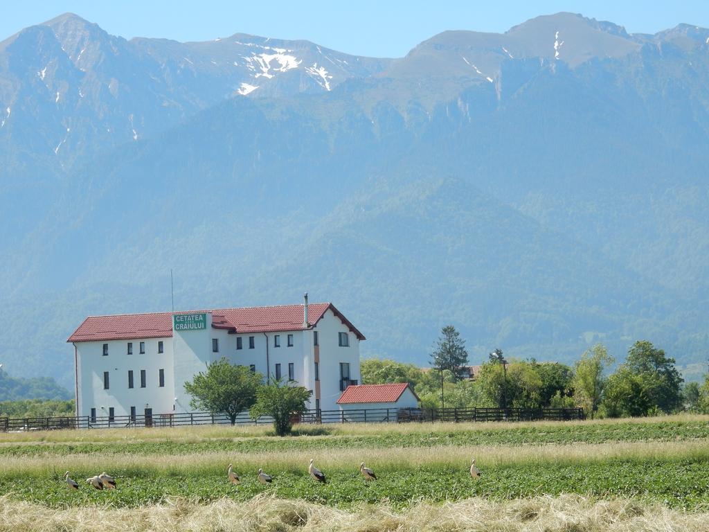 Pensiune Pensiunea Cetatea Craiului Rîşnov