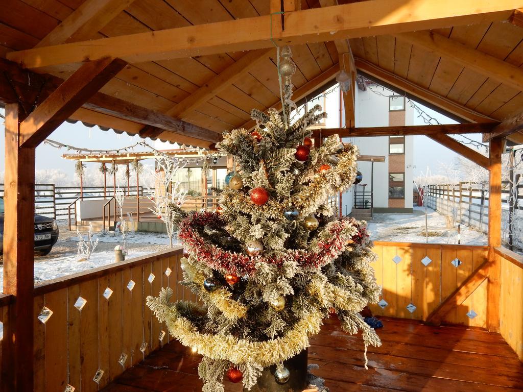 Pensiunea Cetatea Craiului 4*