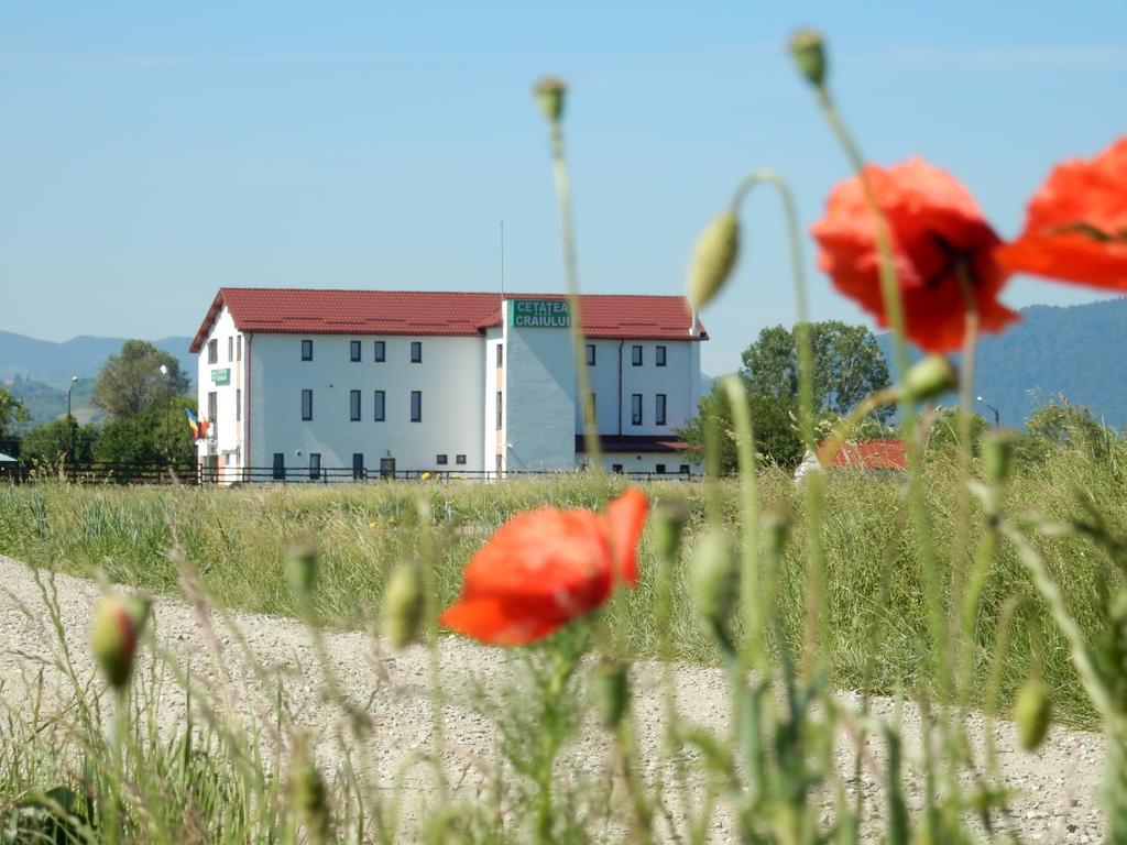 Pensiunea Cetatea Craiului Pensiune 4*