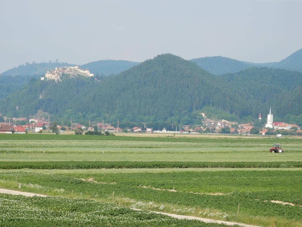 Pensiunea Cetatea Craiului Pensiune