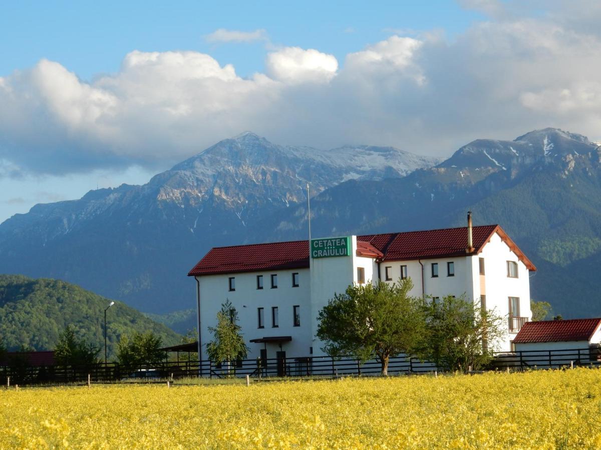 Maison d'hôtes Pensiunea Cetatea Craiului